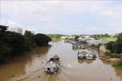 Vietnamese Embassy works with Cambodian authorities on forced labour in casino