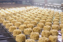 Office to persuade EU to ease EO residual control on instant noodles
