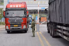 Fruit exports to China cleared earlier than expected