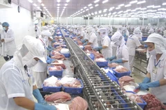 Mekong Delta province targets 980 million USD from tra fish exports 
