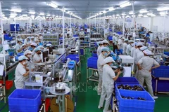FDI disbursement hits five-year high