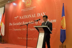 Vietnam-Indonesia ties in prime time: Ambassador