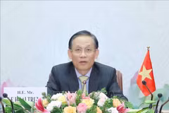 Party diplomacy contributes to raising Vietnam’s position: senior official