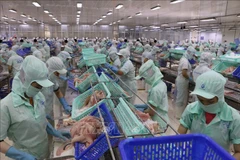 Vietnam-Australia trade up over 33% in nine months