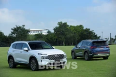Car sales in Vietnam down 34 percent in January