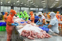 Over 90% of Tra fish on sale in US are from Vietnam