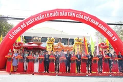 Vietnam to export first batch of fresh pomelo to US