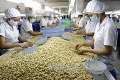 FM spokesperson emphasises protection of Vietnamese enterprises' legitimate interests 