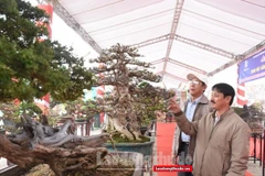 Hanoi: farm produce, handicrafts fair to take place this month