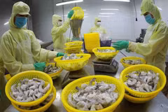 Aquatic exports enjoy 25 percent growth last month