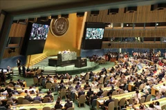 Vietnam promotes basic principles of international law