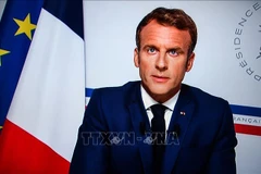 French President extends Lunar New Year greetings