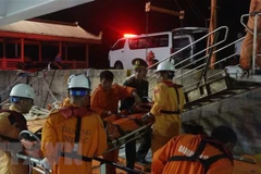 Sick sailor of foreign ship saved in Vietnamese waters