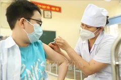 Vietnam striving to ensure vulnerable groups’ interests: professor