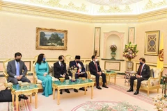 Vietnam – an important partner of Brunei: Sultan Haji Hassanal Bolkiah 
