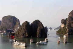 Travel agencies ready to welcome int’l visitors