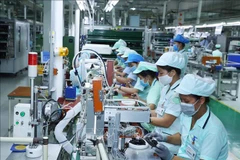 Vietnam a potential partner for African countries: report
