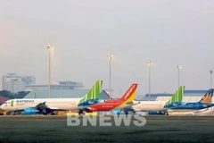 Bamboo Airways records highest punctuality in November