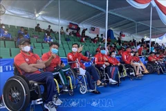 Vietnamese chess, swimming teams make miracles at ASEAN Para Games