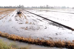 Mekong Delta floods to be below normal this year: authorities