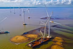 Ben Tre develops marine economy 