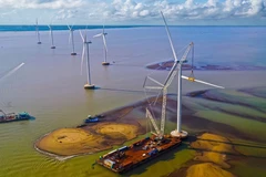 Ben Tre develops marine economy 