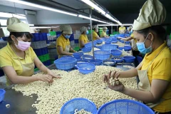 Firms urged to limit risks in foreign trade