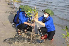 UNDP helps Vietnam strengthen women’s resilience to climate change 