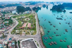 Quang Ninh aims to become fisheries hub of the North