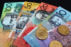 Australian investment supports Vietnamese startups