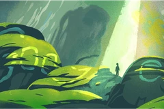 Son Doong Cave honoured by Google Doodle