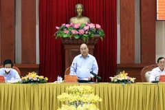 Collective economy in Tien Giang province developing diversely: President