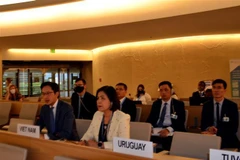 Vietnam keeps prioritising gender equality promotion: official