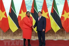 Mozambique is a key partner of Vietnam in Africa: PM