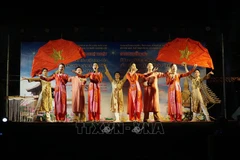 Vientiane art programme highlights Vietnam - Laos solidarity