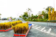 Fifth Vietnam Rice Festival underway in Vinh Long