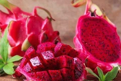 Various Vietnamese fruits able to be exported to Iran