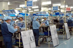 Vietnamese economy to recover fast this year: UNDP representative