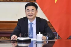New project to promote Vietnamese language in Vietnamese communities abroad 