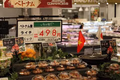 Plenty of room for Vietnam’s agricultural, aquatic, foodstuff products in Japanese market