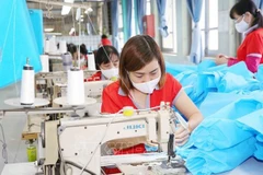 Vietnam exerts great efforts in implementing SDGs: Australian scholar