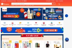 E-commerce forecast to make breakthroughs this year: experts