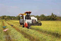 Vietnam advised to promote innovation to tap CPTPP
