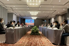 Vietnamese, Thai associations help to boost people-to-people exchange