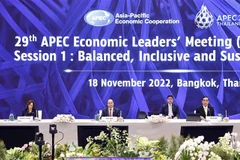 Vietnam calls for dialogue, joint actions for common interests in APEC