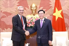 Vietnam treasures Strategic Partnership with France: NA Chairman 