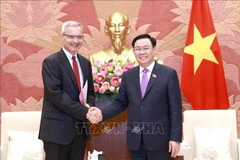 Vietnam treasures Strategic Partnership with France: NA Chairman 