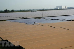 Firms advised to stay cautious despite US’s tariffs exemption on solar panels