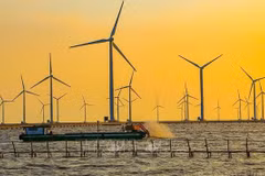 Measures sought to facilitate offshore wind power development