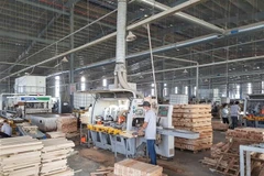 Binh Duong’s domestic investment surpasses FDI for first time